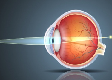 Регулярные упражнения для глаз могут уменьшить напряжение и усталость глаз, расслабить аккомодационный аппарат и, в некоторых случаях, остановить п...